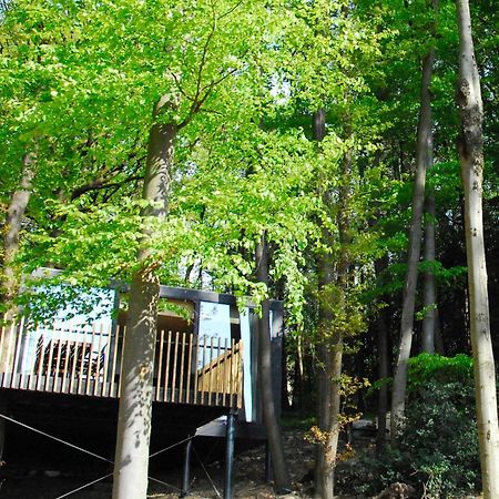 Gite Des Bois De Spa Exteriör bild