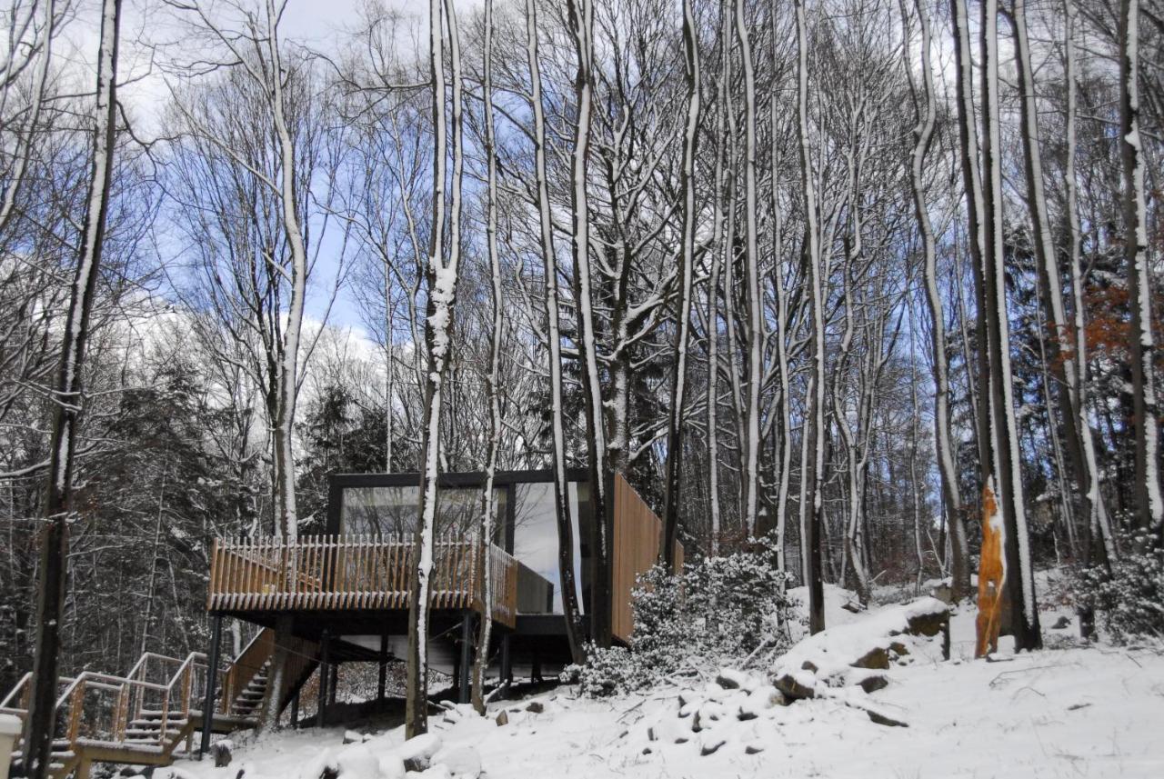 Gite Des Bois De Spa Exteriör bild