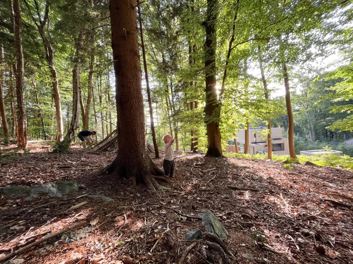 Gite Des Bois De Spa Exteriör bild