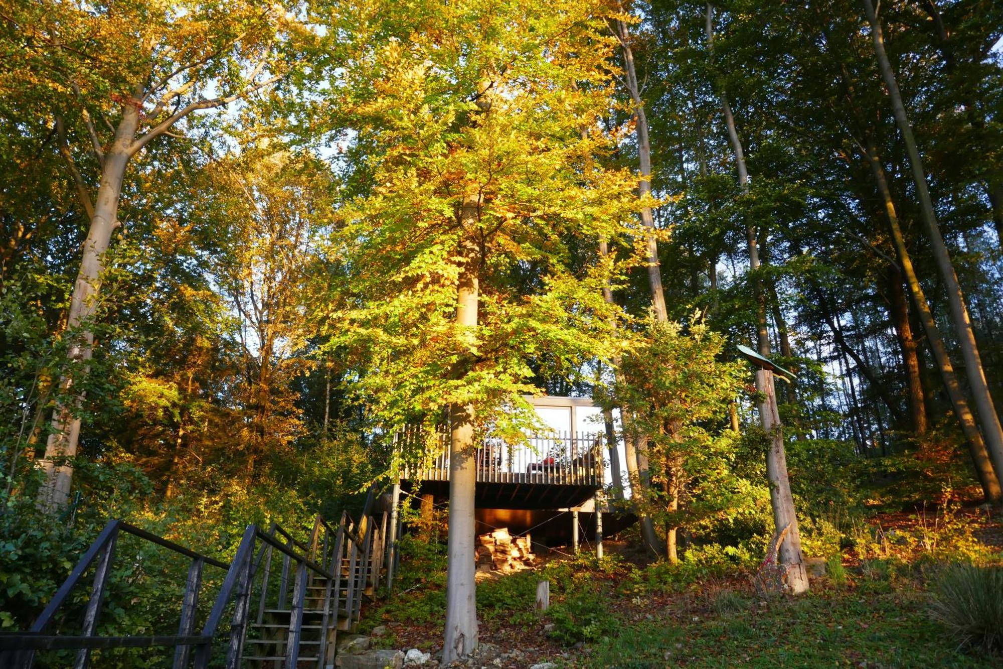 Gite Des Bois De Spa Exteriör bild