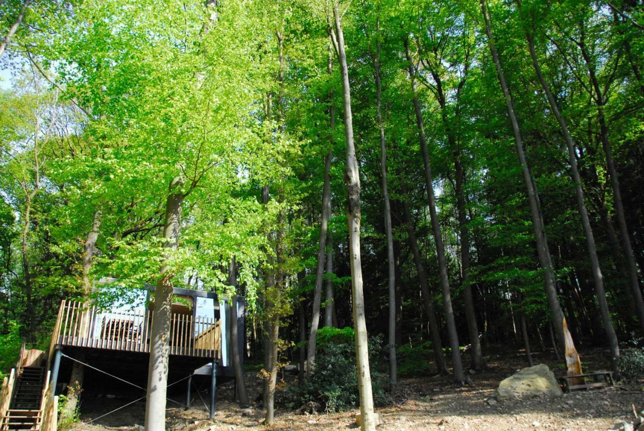 Gite Des Bois De Spa Exteriör bild